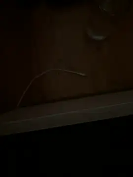 ruberofre online show from August 2, 1:48 am