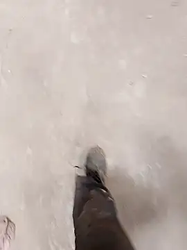 haryanaboypanipat12 online show from April 9, 7:25 am