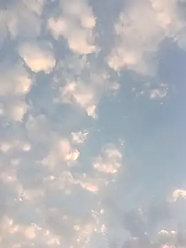 ipvk online show from March 30, 1:06 am