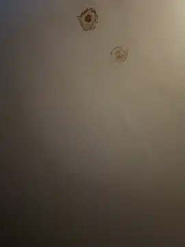 DaddysTransGirl19 online show from November 3, 11:17 pm