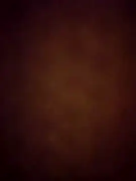 Tequilamaster online show from December 15, 8:28 pm