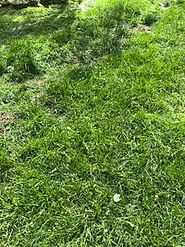 Joshman96 online show from April 28, 11:42 pm