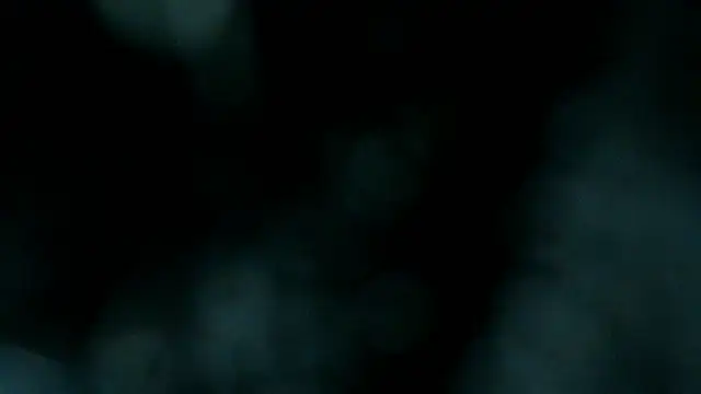 ZAMMIRA online show from March 28, 12:49 pm