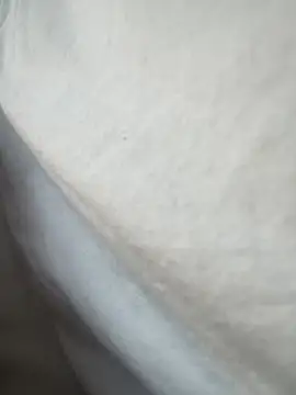 Success10 online show from November 26, 10:35 pm