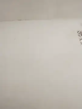 JR777xxx online show from February 17, 8:19 pm