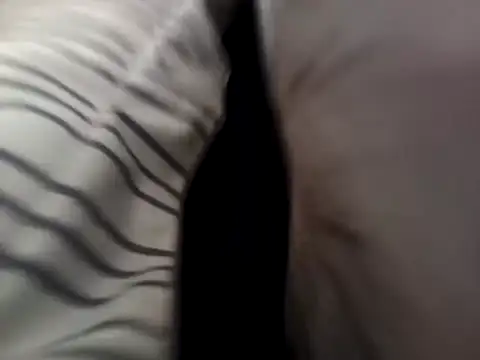 ZimbabweanDick online show from February 28, 5:17 am