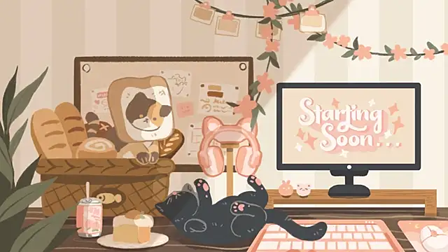 geekycastillo online show from November 23, 3:39 am