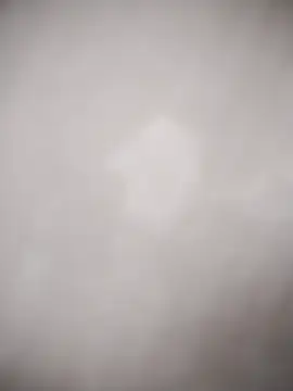 Yordiparra online show from March 30, 11:44 am