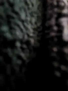 cum daily1 online show from April 20, 7:44 am