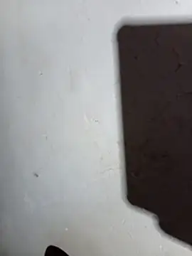 DK 9396 online show from April 23, 6:21 pm