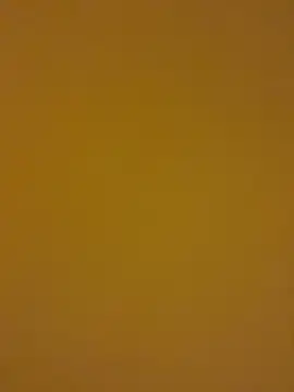 kentojp online show from November 14, 1:45 pm