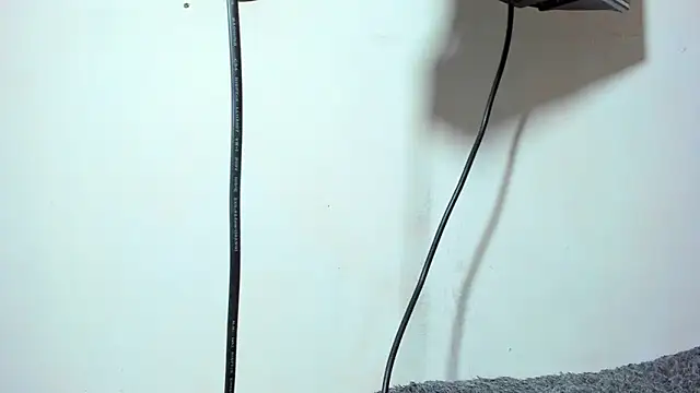 ZeusBrant online show from April 15, 7:58 pm