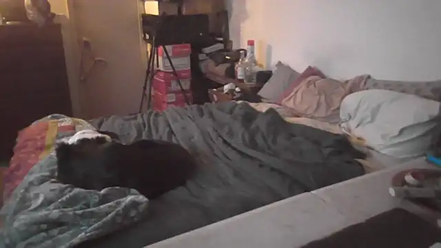 cubhunterpdx online show from November 18, 5:00 am