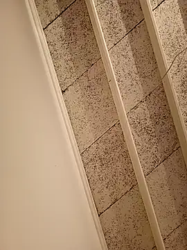 LingerieVirgin online show from November 30, 6:54 pm