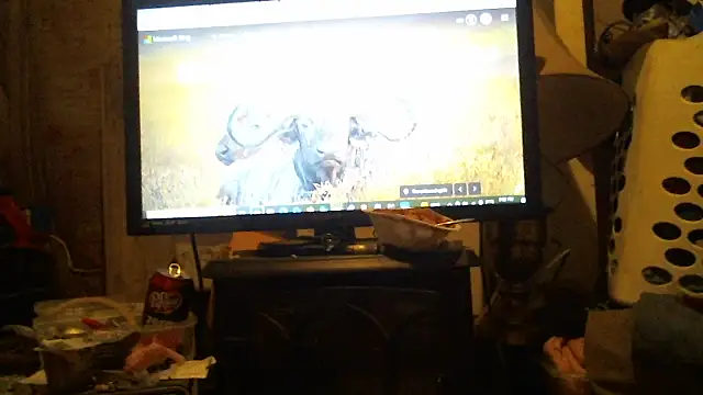 cannonball765309 online show from March 28, 7:03 pm