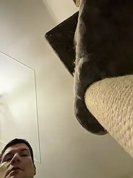 CharlyAlfa22 online show from February 11, 11:21 pm