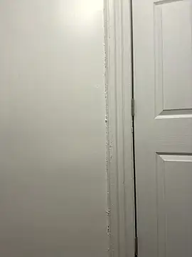 packing123 online show from January 17, 1:14 pm