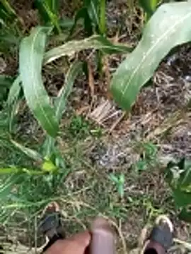 loki-king-143 online show from March 9, 9:47 am