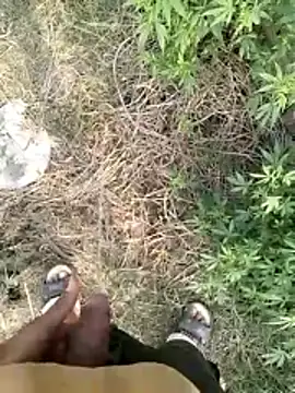 mohit08desi online show from March 30, 11:00 am