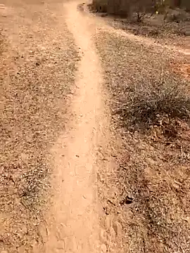 Tamilpaiyan07 online show from February 8, 5:46 am