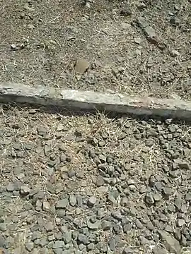 sexyboy 917 online show from April 14, 4:34 am