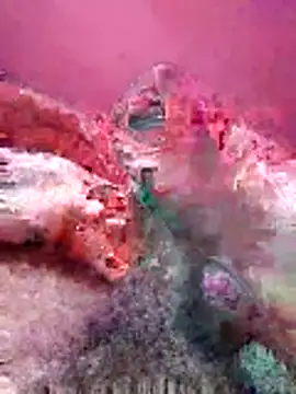 Abdodickbig0 online show from February 6, 1:30 pm