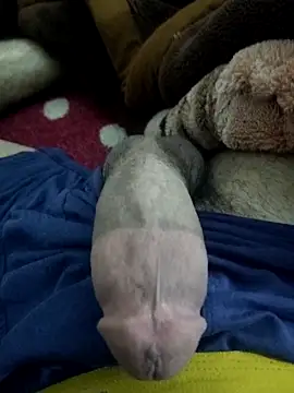 amirMohamed58 online show from February 23, 9:27 pm