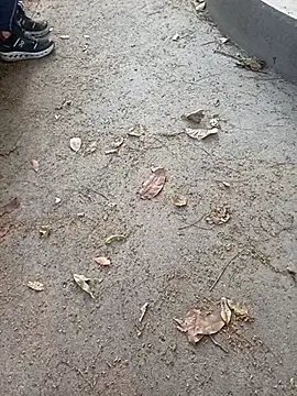 andresj22hot online show from April 10, 11:50 am