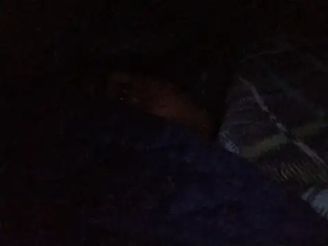MickeySexyyy online show from July 9, 3:44 am