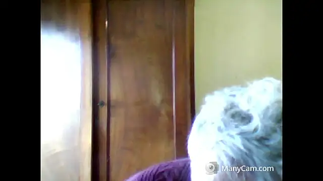 swichcassanesi online show from March 28, 1:44 pm