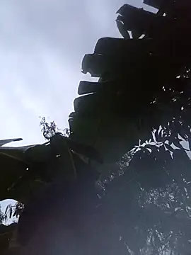 Hot Veteran 1 online show from March 25, 10:41 am