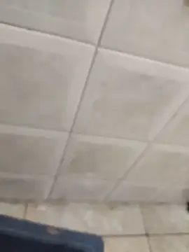 Gordinho dos pes online show from March 15, 4:31 am