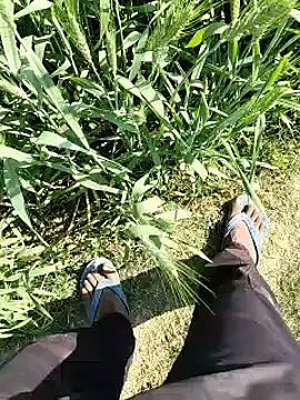 aryanvfit online show from February 14, 8:09 am