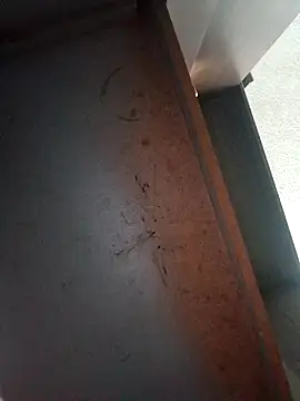 Ironid online show from February 18, 10:29 pm