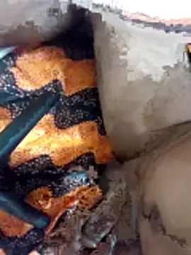 skynct2007 online show from March 3, 1:35 am