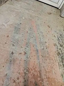 67sanju online show from March 2, 12:23 pm