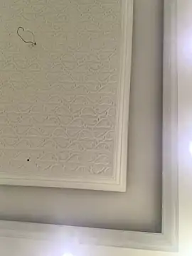 oss96 online show from March 4, 6:42 am