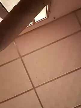 darwinmodell online show from December 28, 4:52 pm