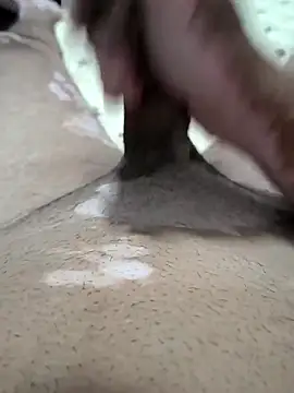 Josebs2025 online show from April 12, 2:59 am