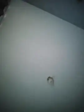 misteriosocam40 online show from April 9, 5:41 pm