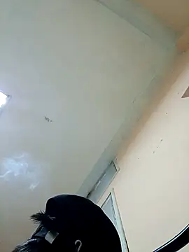 PeneGrandexxxSex online show from March 5, 5:14 am