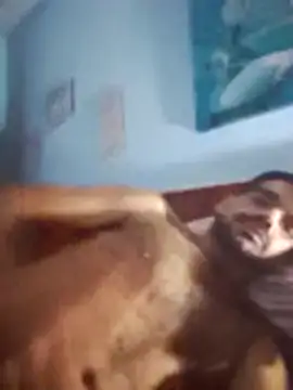 PursoUy online show from March 19, 6:16 am