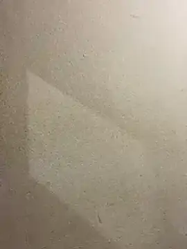 pareji-ta online show from April 13, 5:19 am