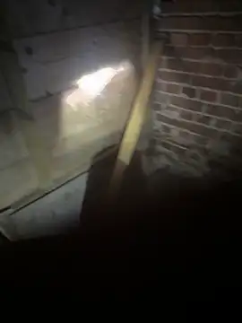 SoftAmjad online show from April 14, 11:04 pm