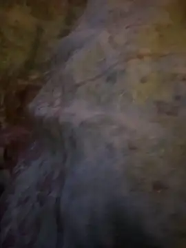 maniackle online show from April 20, 10:01 pm