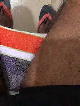 ranga-1984 online show from April 16, 11:43 am