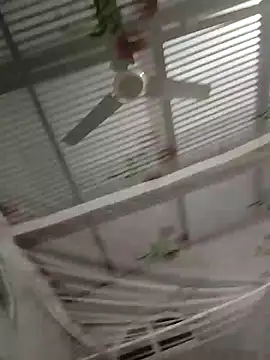 chutki deewana online show from March 28, 7:25 pm