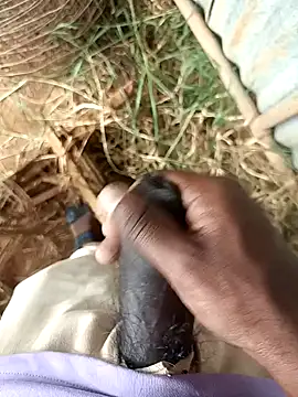 sanju 5418 online show from April 15, 9:31 am