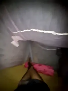 Palash2001 online show from April 18, 7:58 pm