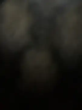 LeonBlazze online show from April 13, 9:04 pm